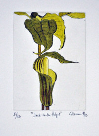 Jack-in-the-Pulpit