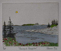 Pemaquid Perspective