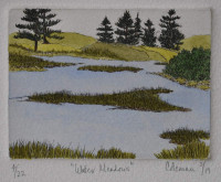 Water Meadows