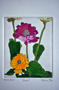 Zinnias