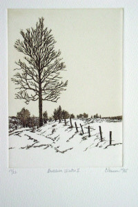 Berkshire Winter I
