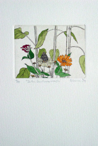 In the Sunflower Jungle