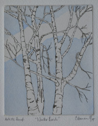 Winter Birch